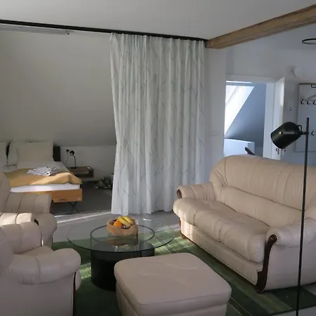 Loft Am Park Lägenhet