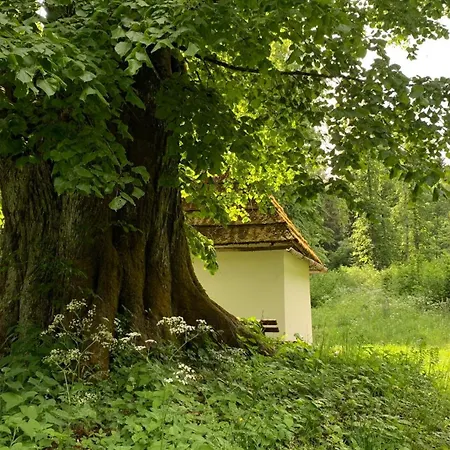 Lägenhet Loft Am Park Hermagor-Pressegger See