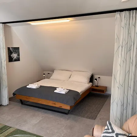 Loft Am Park Lägenhet *