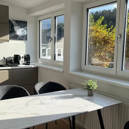 Appartement Loft Am Park *