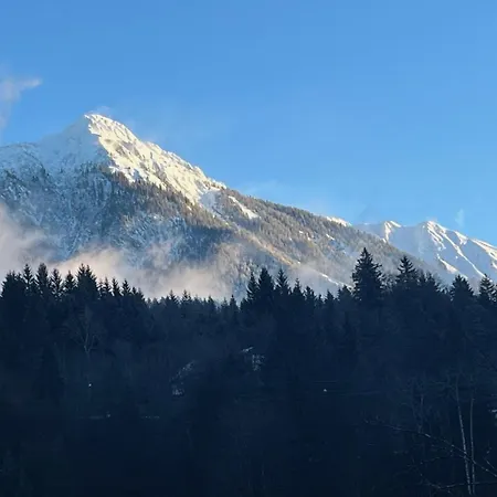 Appartement Loft Am Park
