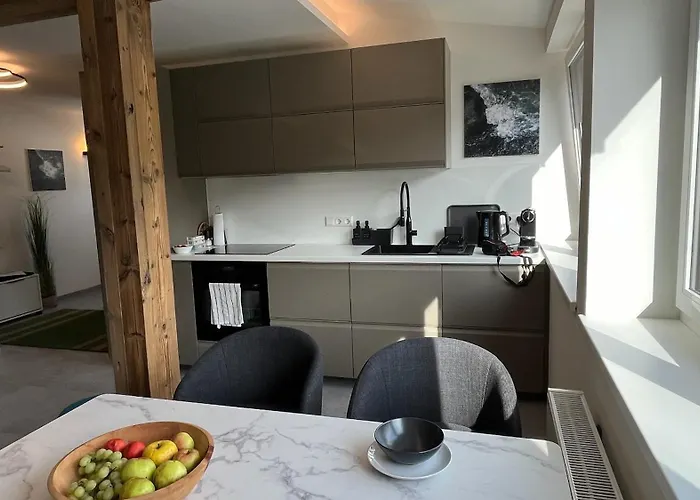 Apartament Loft Am Park