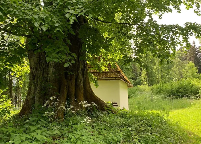 Apartament Loft Am Park Hermagor-Pressegger See