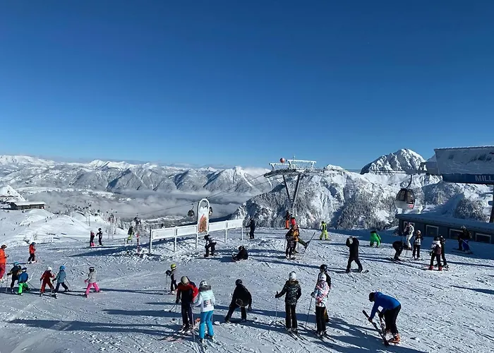 Apartament Loft Am Park *