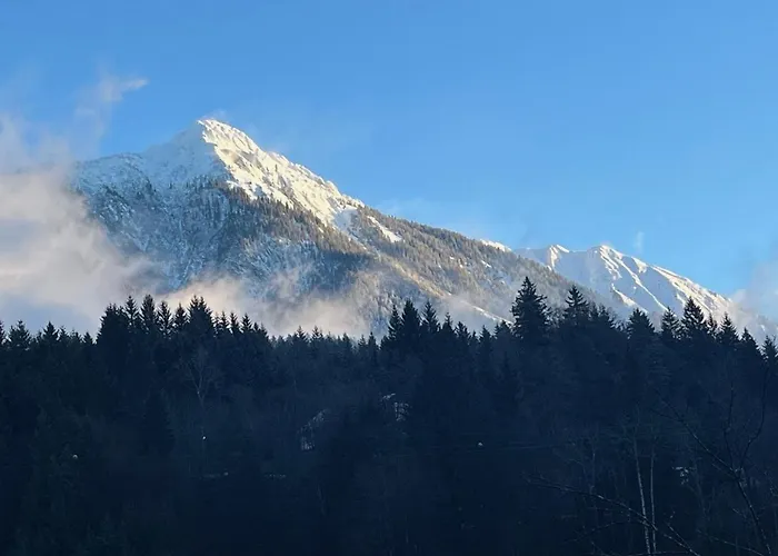 Apartament Loft Am Park